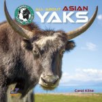 All about Asian Yaks