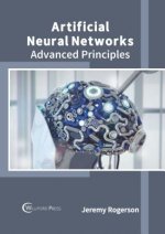 Artificial Neural Networks: Advanced Principles