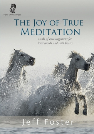 joy of True Meditation