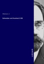 Schweden und Russland 1788