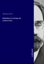 Bilderatlas zur Zoologie der niederen Tiere