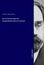 Die Versteinerungen der Steinkohlenformation in Sachsen