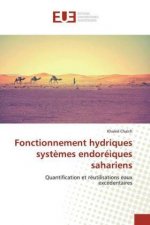 Fonctionnement hydriques systemes endoreiques sahariens