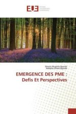 Emergence Des Pme
