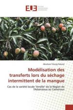Modelisation des transferts lors du sechage intermittent de la mangue