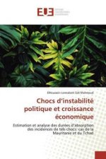 Chocs d'instabilite politique et croissance economique