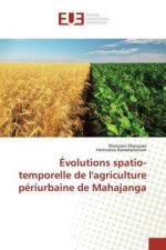 Evolutions spatio-temporelle de l'agriculture periurbaine de Mahajanga