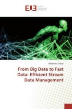 From Big Data to Fast Data