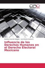 Influencia de los Derechos Humanos en el Derecho Electoral Mexicano