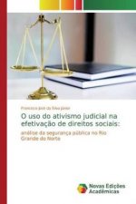 O uso do ativismo judicial na efetivacao de direitos sociais