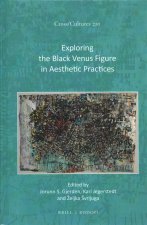 Exploring the Black Venus Figure in Aesthetic Practices