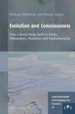 Evolution and Consciousness: From a Barren Rocky Earth to Artists, Philosophers, Meditators and Psychotherapists