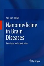 Nanomedicine in Brain Diseases