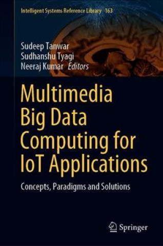 Multimedia Big Data Computing for IoT Applications