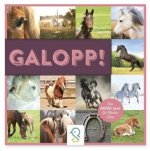 Galopp!