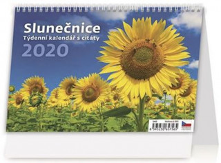 Slunečnice - stolní kalendář 2020