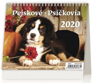 Minimax Pejskové/Psíčkovia - stolní kalendář 2020