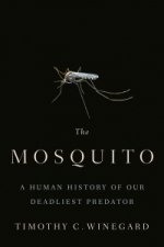 Mosquito