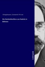 Die Steinkohlenflora von Radnitz in Bohmen