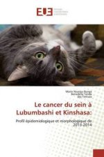 cancer du sein a Lubumbashi et Kinshasa