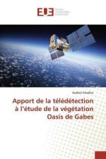 Apport de la teledetection a l'etude de la vegetation Oasis de Gabes