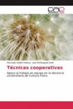 Técnicas cooperativas