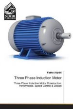 Three Phase Induction Motor