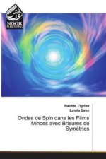 Ondes de Spin dans les Films Minces avec Brisures de Symetries