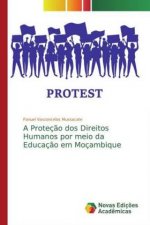 A Proteç?o dos Direitos Humanos por meio da Educaç?o em Moçambique