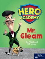 Hero Academy: Leveled Reader Set 9 Level N MR Gleam