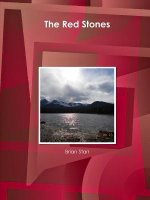 Red Stones