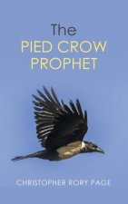 Pied Crow Prophet