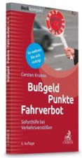Bußgeld, Punkte, Fahrverbot