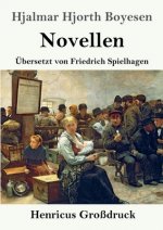 Novellen (Grossdruck)