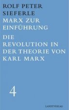 Marx zur Einführung / Die Revolution in der Theorie von Karl Marx