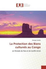 La Protection des Biens culturels au Congo