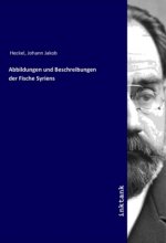 Abbildungen und Beschreibungen der Fische Syriens