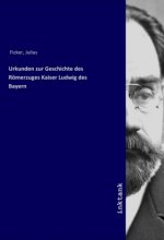 Urkunden zur Geschichte des Romerzuges Kaiser Ludwig des Bayern