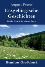 Erzgebirgische Geschichten (Grossdruck)
