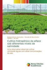 Cultivo hidropônico da alface sob diferentes níveis de salinidade