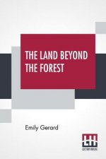 Land Beyond The Forest