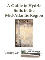 Guide to Hydric Soils in the Mid-Atlantic Region - Version 2.0