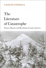 Literature of Catastrophe