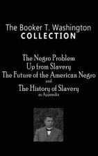 Booker T. Washington Collection