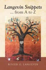 Langevin Snippets ... from a to Z