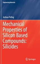 Mechanical Properties of Silicon Based Compounds: Silicides