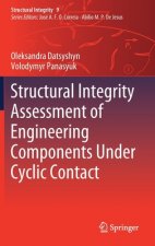 Structural Integrity Assessment of Engineering Components Under Cyclic Contact