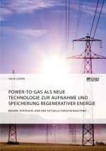 Power-to-Gas als neue Technologie zur Aufnahme und Speicherung regenerativer Energie. Bedarf, Potenzial und der aktuelle Forschungsstand