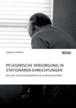 Pflegerische Versorgung in stationaren Einrichtungen. Wie lasst sich die demographische Alterung meistern?