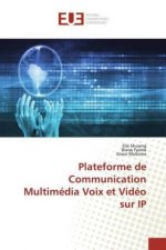 Plateforme de Communication Multimedia Voix et Video sur IP